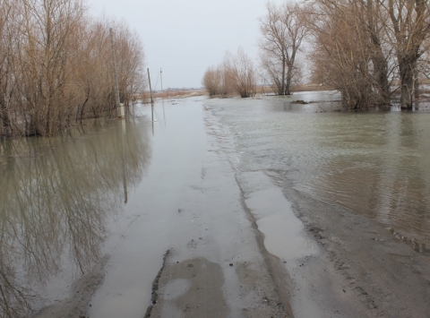 Фото (С) ГУ МЧС России по Омской области