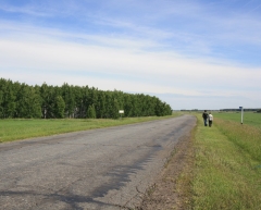 Дороги в Омске