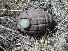 Фото (С) http://www.novonikolaevsk.com/forum/viewtopic.php?f=15&t=18&p=2965&sid=cd5f65c926bc9064b94d5d22af6f9f4c