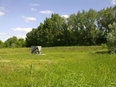 Старозагородная роща в Омске