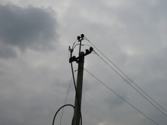 ЛЭП в Омской области